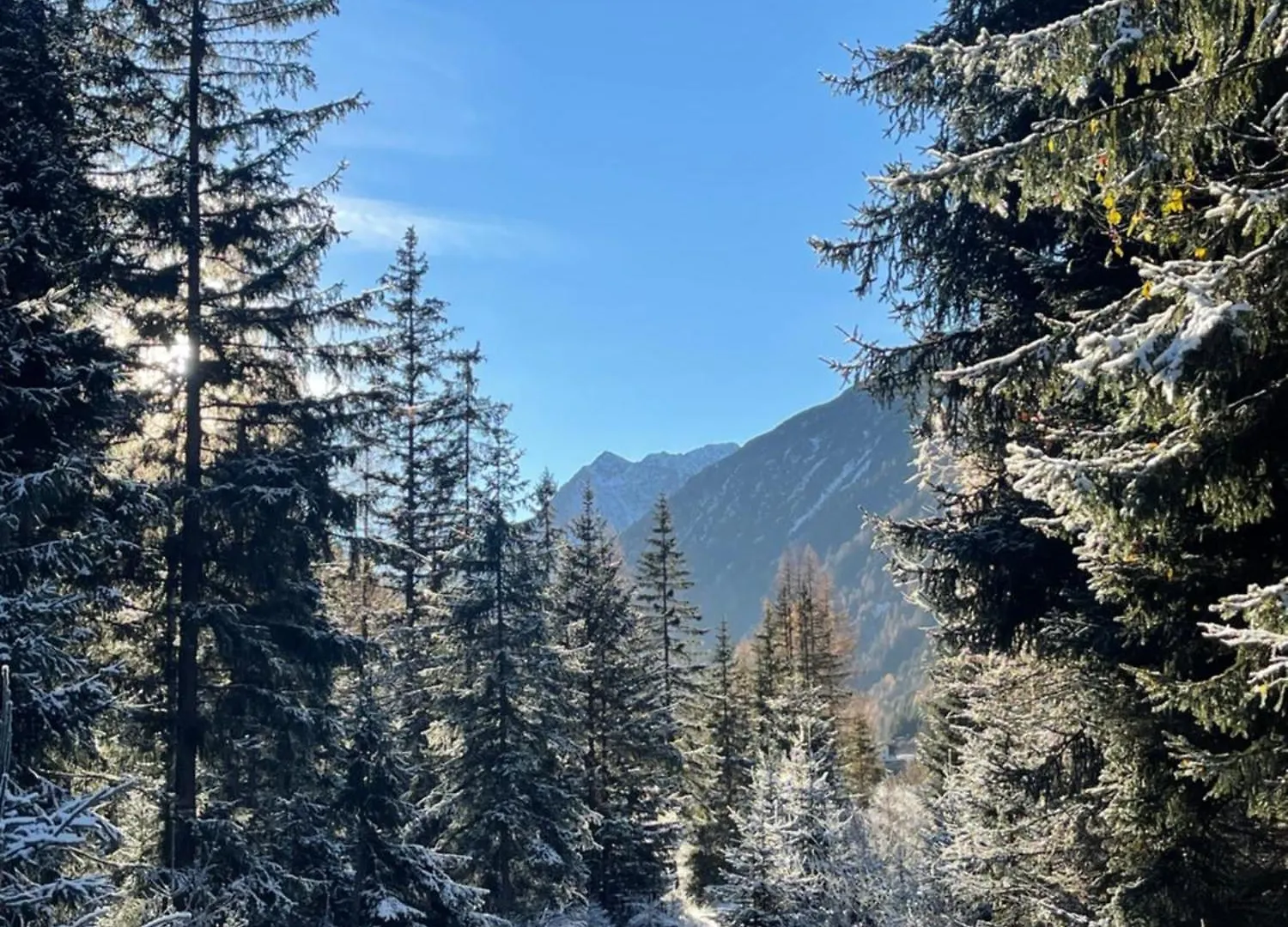 Alpenfels Zwieselstein Solden